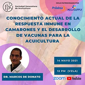 Webninar Marcos De Donato