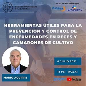 Webinar 08 de julio de 2021