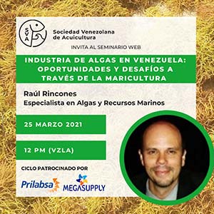 Webinar 25 de marzo de 2021