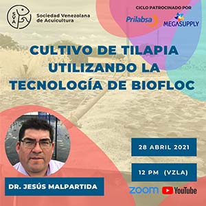 Webinar 28 de abril de 2021