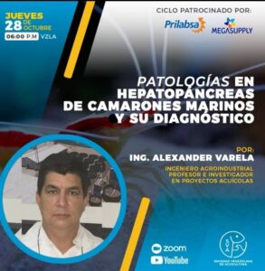 patologias en hepatopancreas
