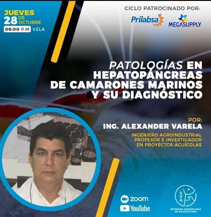 patologias en hepatopancreas