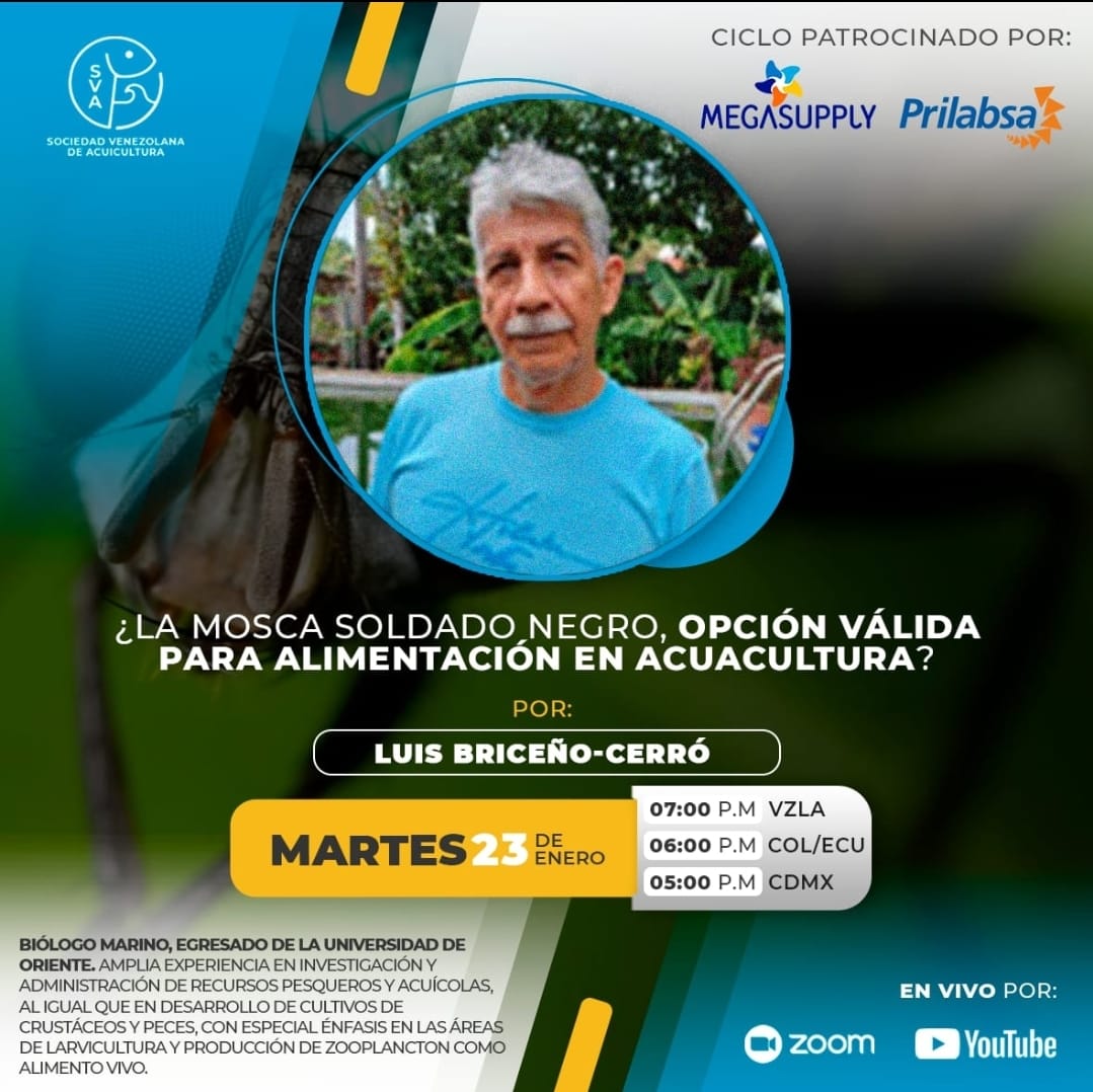 Luis Briceño - Mosca soldado negro, opción para acuacultura