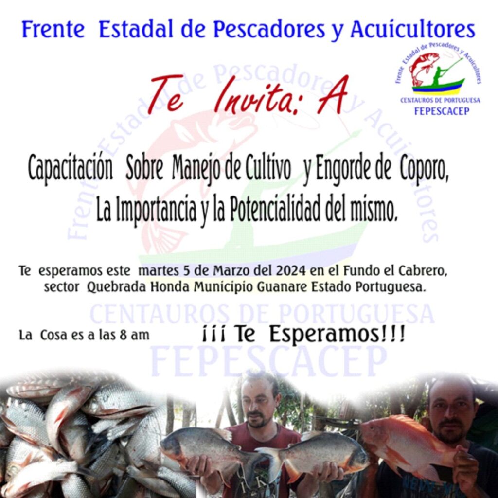 Invitación taller coporos