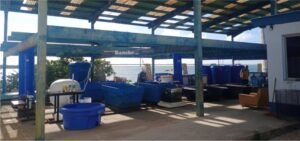 Laboratorio húmedo en proceso de activación