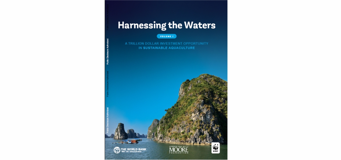 Portada de la reciente publicación del BM-WWF