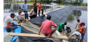 Ministerio de Asuntos Marítimos y Pesca de Indonesia se involucra directamente con productores para impulsar el cultivo de camarón