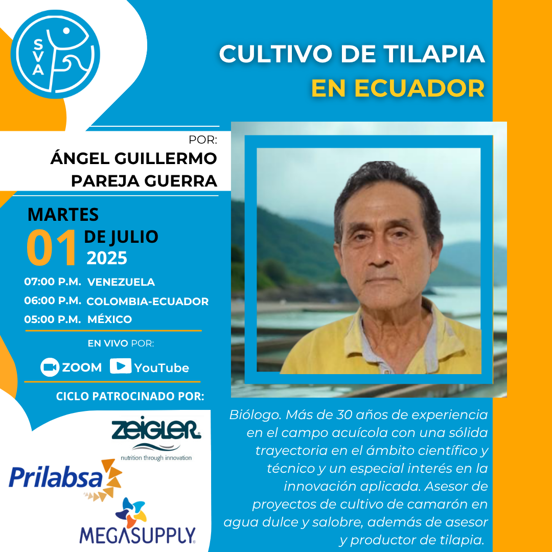 Webinar Ángel Pareja