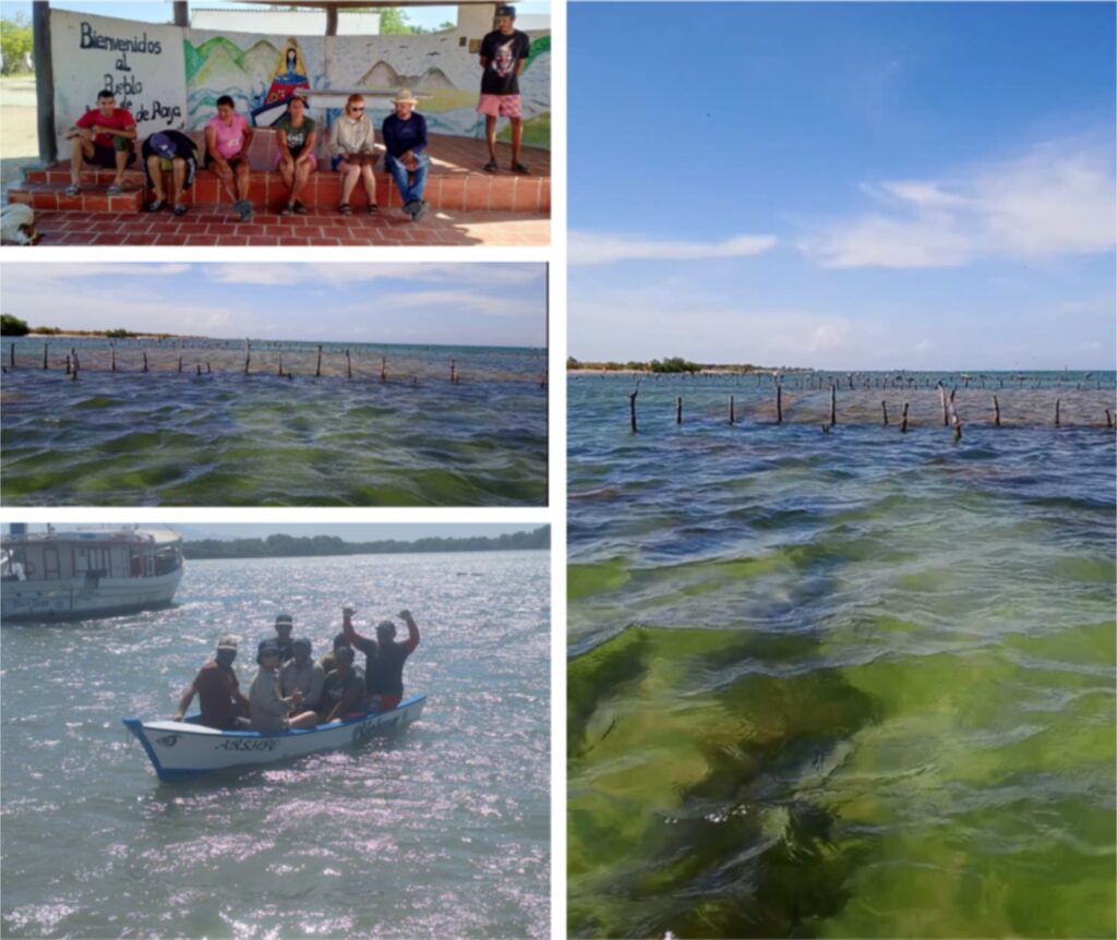 Imágenes de la visita de Hatch Blue a las granjas artesanales de Laguna de Raya.