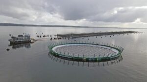 ENERGÍA VERDE PARA LA ACUICULTURA: SOLUCIONES SOLARES