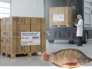 Exportaciones tilapia Vietnam