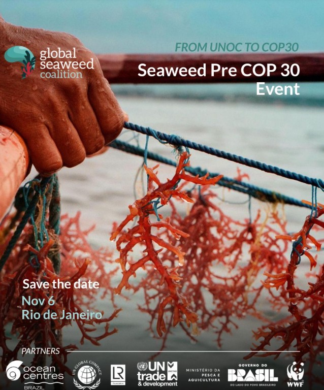 Poster del evento Seaweed Pre-COP30.