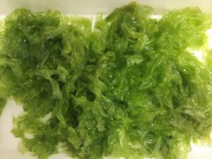 Algas como alimento sostenible