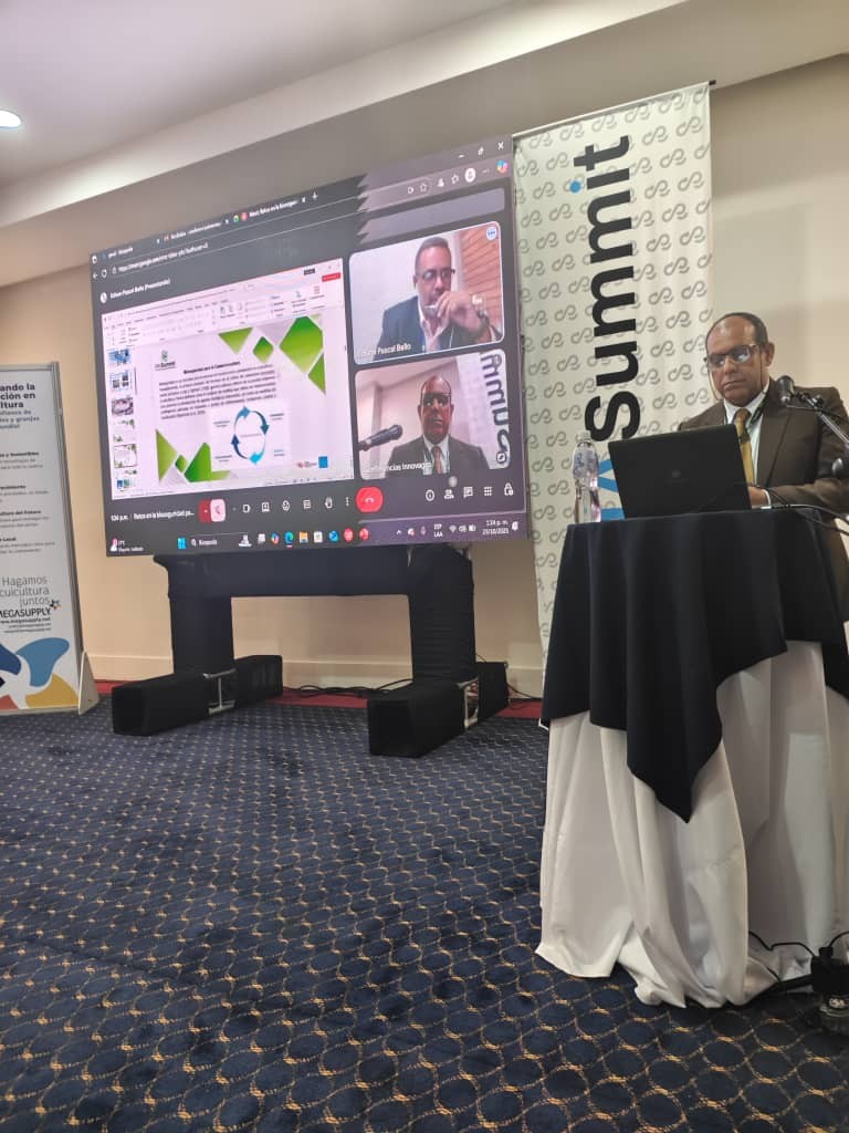 Ponencia no presencial de Edison Pascal