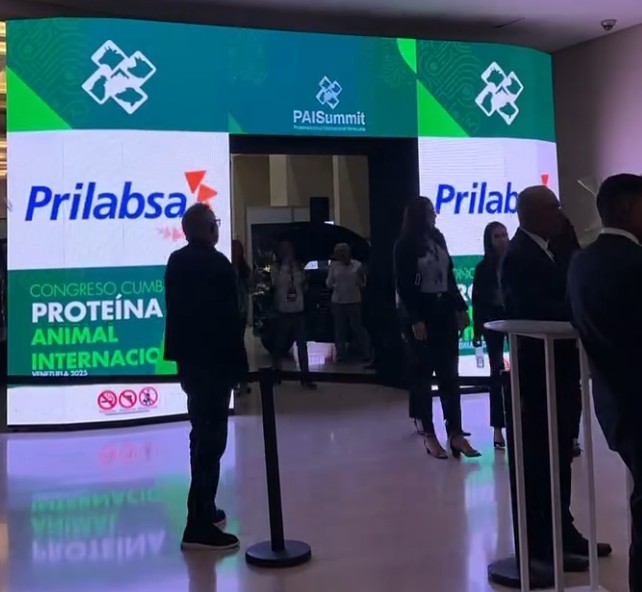 Arco de entrada al área expositiva