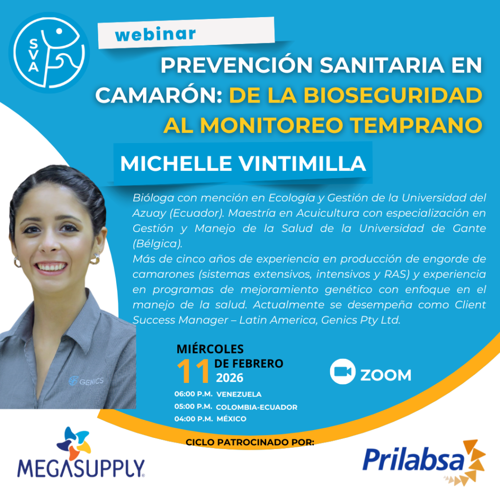 MICHELLE VINTIMILLA