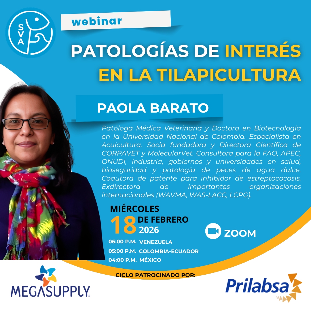 PAOLA BARATO