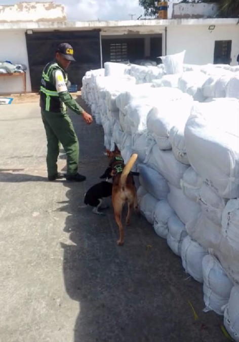 Inspección antidroga de la carga