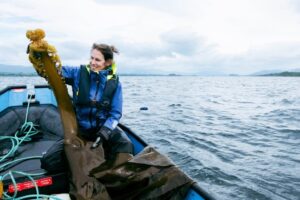 Algas marinas: Escuchen a la gente